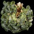 Lustrous, Epidote Crystal Cluster - Morocco #49414-1